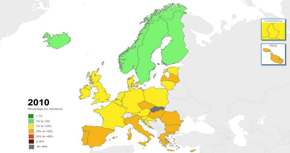 Escherichia coli: percentage of