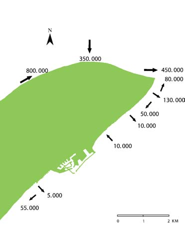 Sedimentbudget Based on Bathymetry Geology Cross shore transport Model calculations Kystdirektoratet Gr. 001-16-27 Nr.