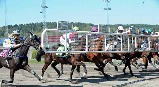 TIO ÅR MED MONTÉ I Lindesberg lördg juni 00 inleddes ett nytt kpitel när Liv Pedersen red J.R.Bonnz till seger. För först gången på svensk mrk vnn nämligen en trvre utn tt h en sulky efter sig.