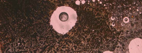 Figur 5. Detalj från mikroskopet på TS2 (F124) på den insmälta slaggen.