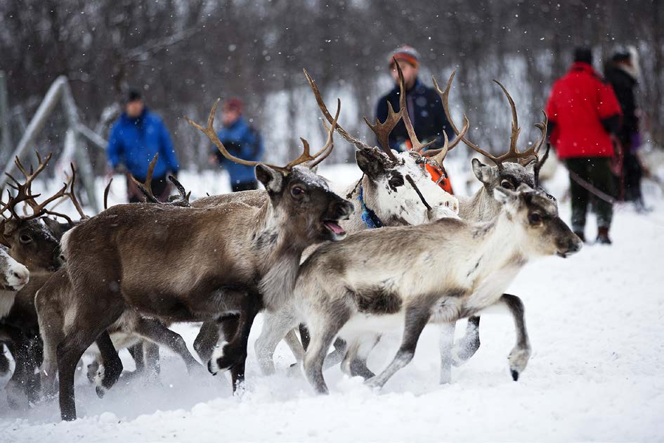 Detta kan ses som ytterligare ett exempel på hur traditionen av att alla har ett värde och en plats i familjen och i gruppen, och att språk och berättande i umgänget, kan bidra till att två personer