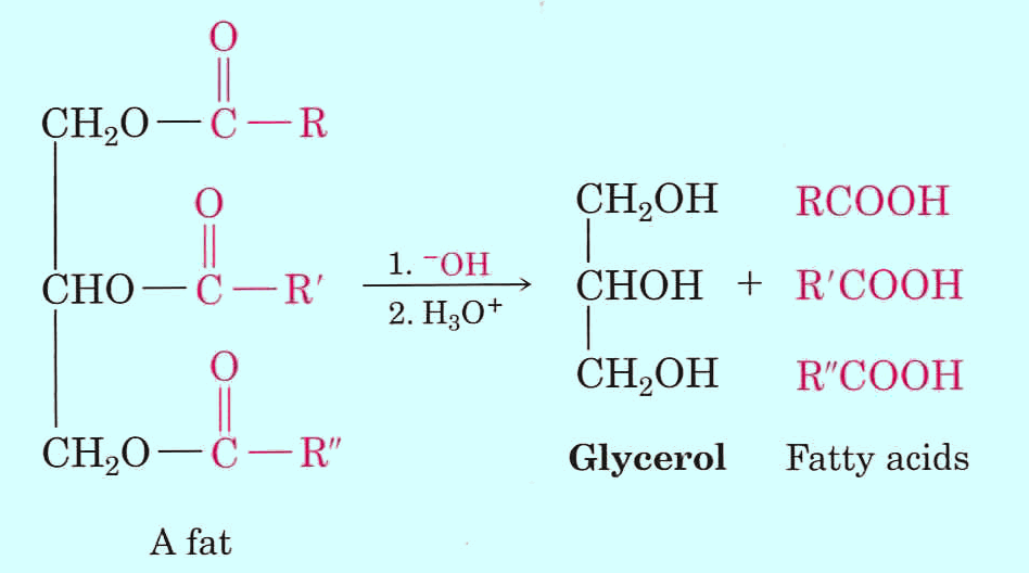 LIIDER ydrolys av fett ger tvål (Saponifiering) Fetter och Fettsyror Estrar mellan fettsyror och glycerol ger fett