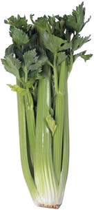 Välj mellan naturell eller