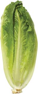 BAKPOTATIS