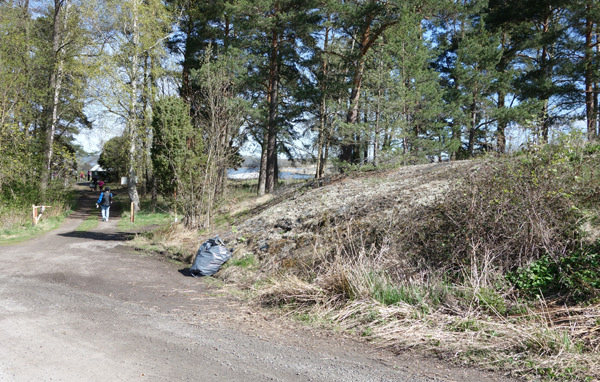 Låt dagens naturområde vara kvar och planlägg strandremsan söderut fram till och med sjöbodarna i söder som hamnområde. Området är idag röjt och används till uppställning av båttrailar.