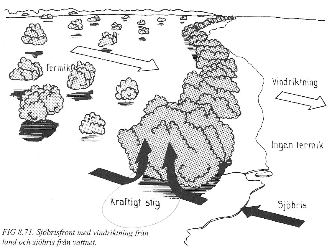 Sjöbrisfront - konvergenslinje FIG 6.