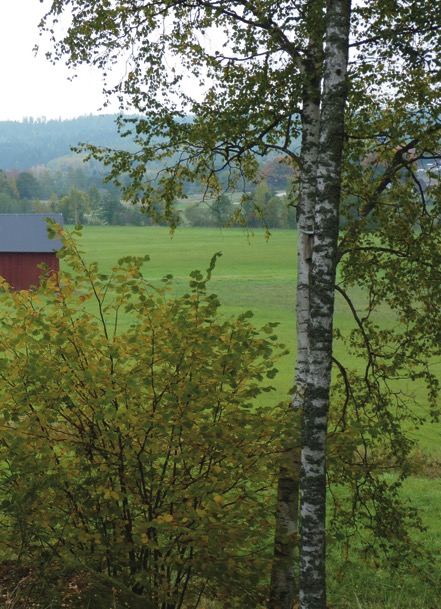 Välkomna till höstens aktiviteter Vi hälsar