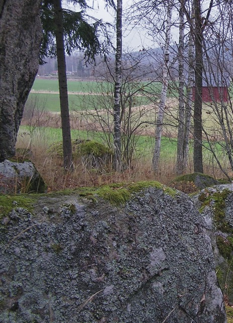 Naturskyddsföreningen i Sollentuna Vilka är vi? Naturskyddsföreningen Sollentuna är en lokalkrets kopplat till Svenska Naturskyddsföreningen.