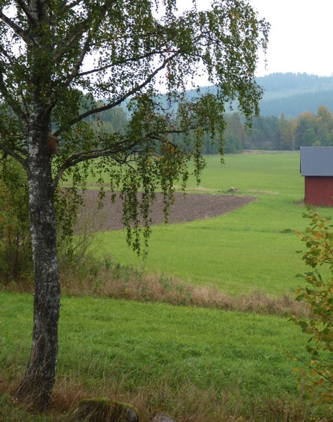 Sverige Porto Betalt Efterlysning av medlemmar som kan följa med på naturvandringar med SFI-elever Naturskyddsföreningen i Sollentuna brukar under höst och vår anordna naturvandringar med elever som