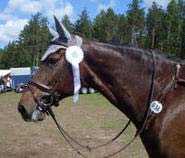 Stall Bätteropp - Lokal hopptävling för ponny, 20 juni 0.50 m, kat B, Tindra Eklund Fagerslätts Joulin, 0 fel 0.