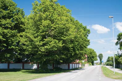 Under senare tid har vägen byggts om i ny sträckning med vägport under järnvägen samtidigt som den äldre vägsträckningen avslutats väster om Väståkra gård.