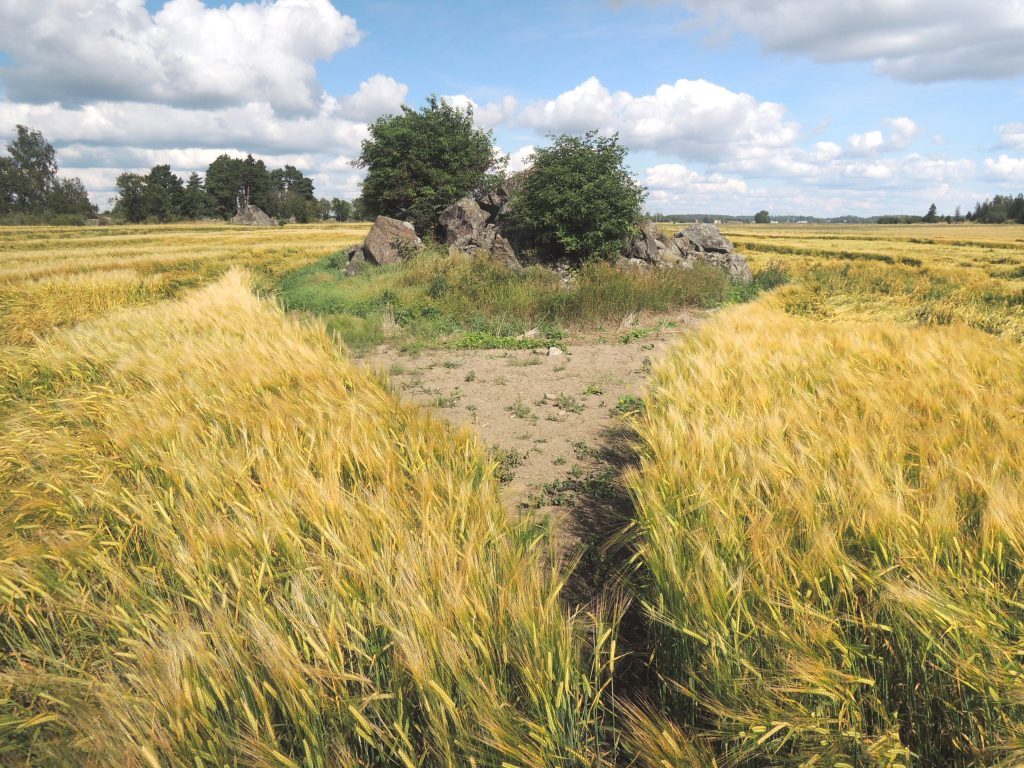 Gip runt åkerholme, Söderby,