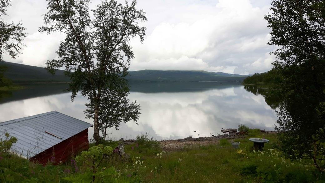 Temperatur C Resultat Övre Jovattnet Övre Jovattnet provfiskades med tio nätansträngningar under en natt vilka vittjades -8- (figur och ). Figur. Foto över Övre Jovattnet strax efter nätupptagning.