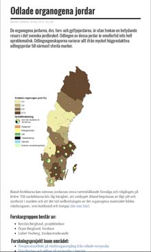 Studera hur brukarens åtgärder, odlings- och dräneringsintensitet, påverkar ytsänkning och växthusgasavgång.