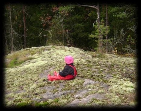 Naturhjältarna använder naturen som lek- och lärmiljö Detta läsår samarbetar naturskolan med åtta grupper med 3-5-åriga barn inom verksamheten Naturhjältarna.