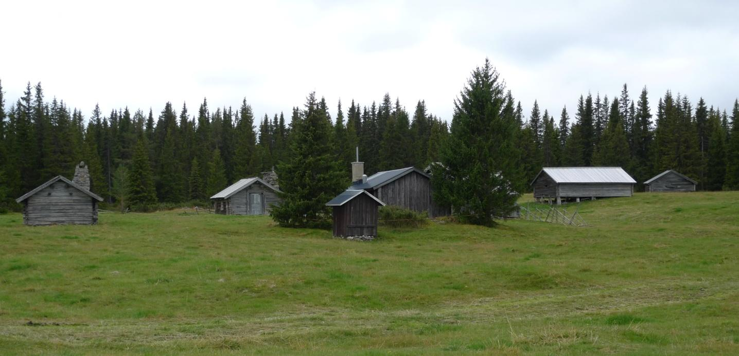 och sotlav (S). Objekt 49 Det finns också två lador i bättre skick på fäbodvallen.