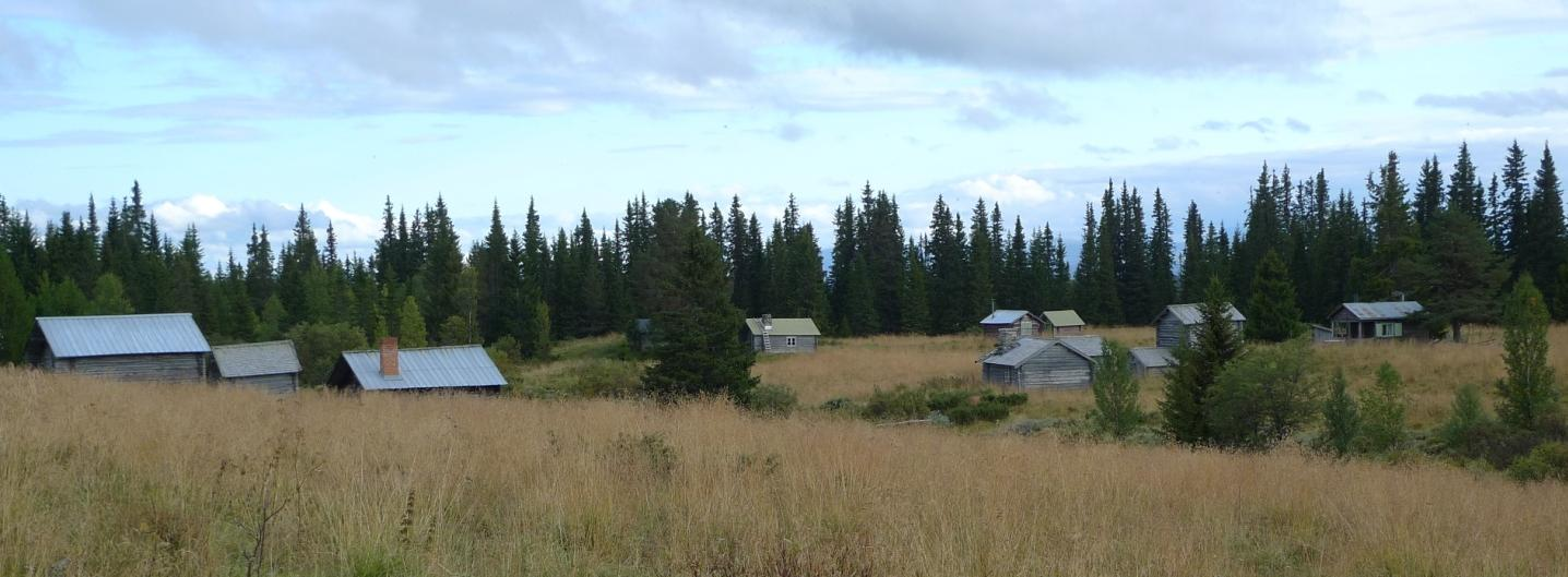 Objekt 63 Torvtaksbua har gamla knutar och torvtak (foto ovan t.v.). Inga speciella arter hittades. Objekt 64 Gammal timmerlada med skrädda stockar och pannplåt (se foto t.h. ovan, den högra byggnaden).