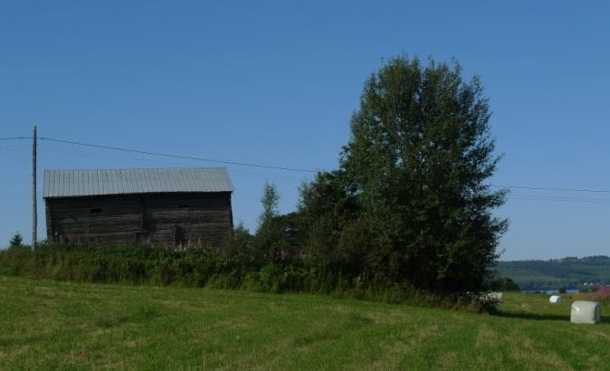 Båda ladorna har varit rödmålade men det mesta av färgen har bleknat bort. Objekt 23 Två fina gamla välskötta timmerlador i kanten av en välskött tomt.