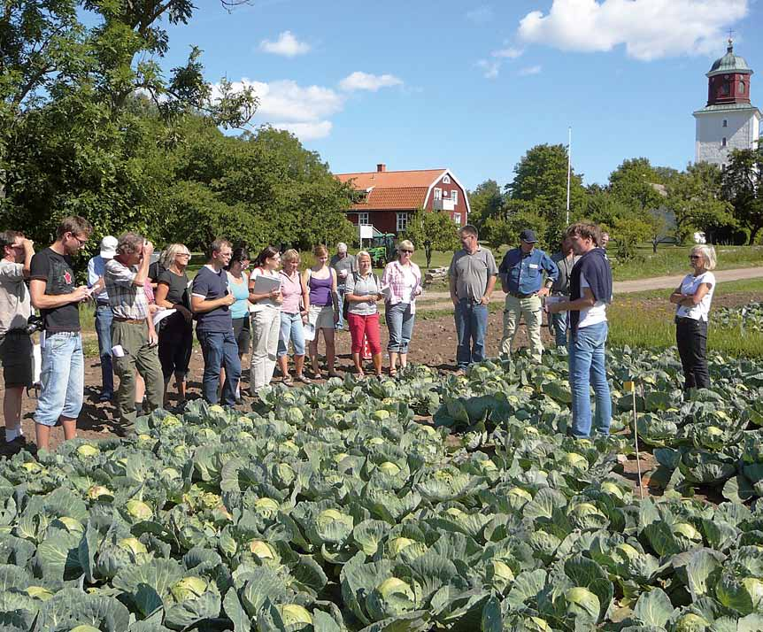 Foto: Peter Anderson Konkurrenskraft och levande landsbygd En utmaning för ekologisk livsmedelsproduktion är att öka konkurrenskraften genom bättre lönsamhet, ökade volymer och större mångfald av