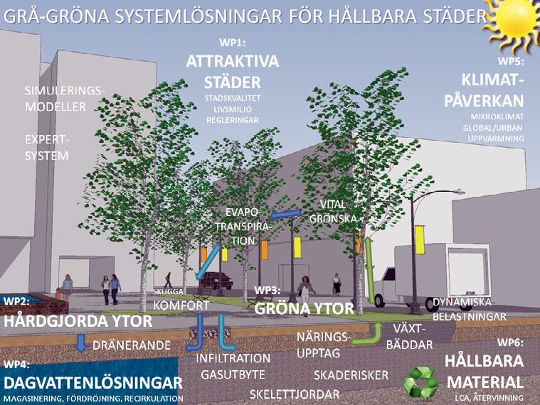 delar. Istället syftar namnet på att jorden byggs upp av ett stenskelett ett 40 till 100 cm djupt lager av stora stenar med en diameter på mellan 65 och 150 mm.