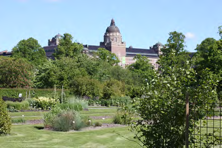 ROSLAGSVÄGEN I HÖJD MED UNIVERSITETET Universitetsområdet påverkas av buller från Roslagsvägen.