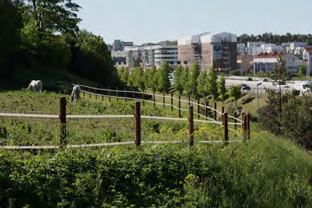 ENTRÉN TILL ULRIKSDALS SLOTT En bulleråtgärd vid Överjärva gångbro som utgör entré till Ulriksdals slott skulle minska bullerstörningen i parken i stort.