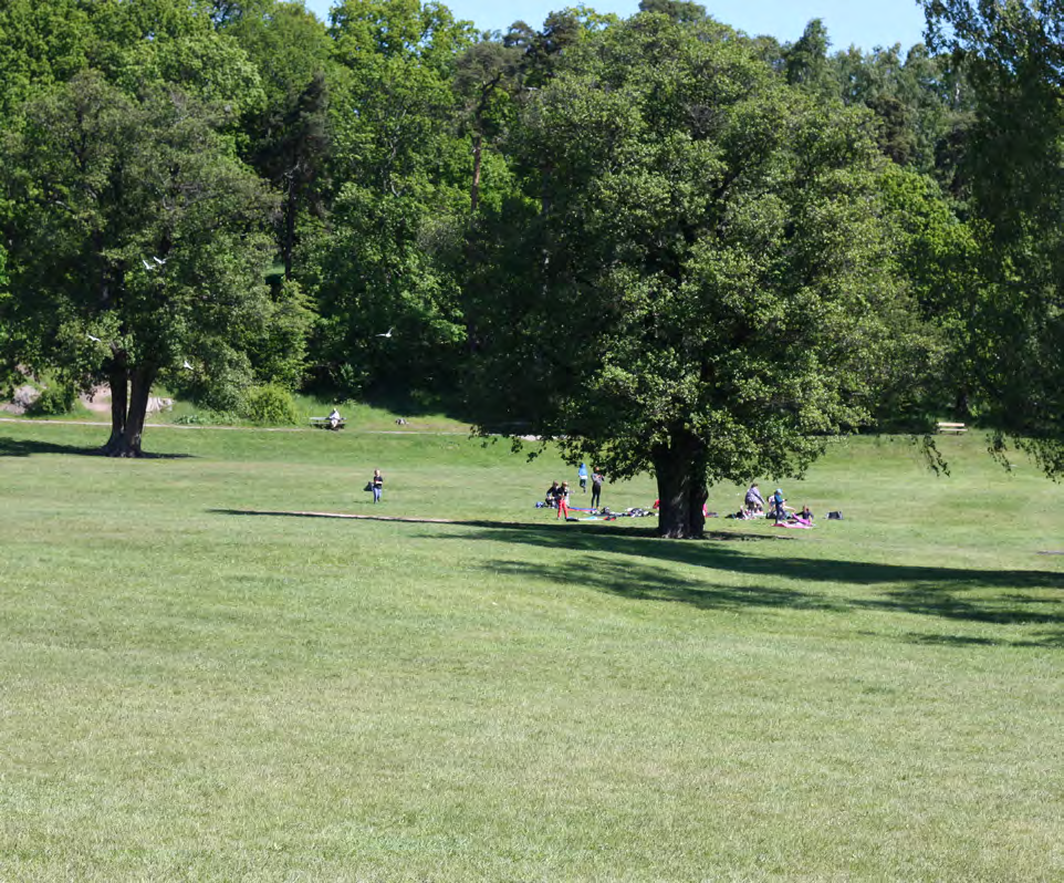 BAKGRUND OCH SYFTE BAKGRUND Delar av Kungliga nationalstadsparken är idag hårt belastad av omgivningsbuller, vilket påverkar parkens kvalitet, i huvudsak när det gäller parkens betydelse för