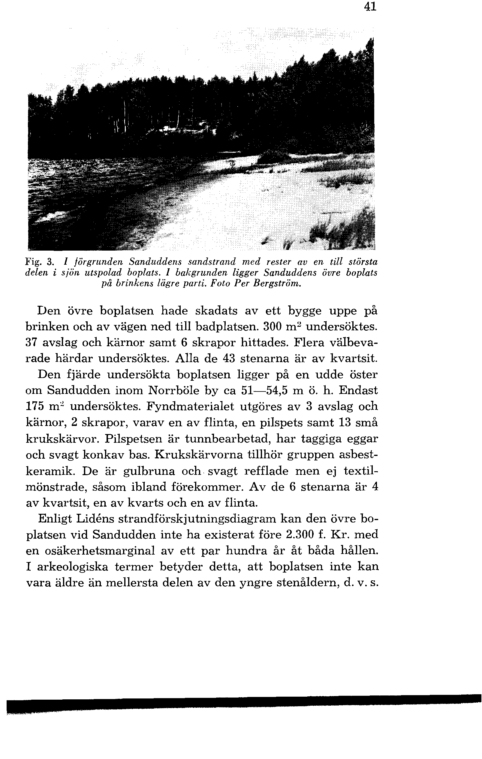 41 Fig. 3. I förgrunden Sanduddens sandstrand med rester aven till största delen i sjön utspolad boplats. I bakgrunden ligger Sanduddens övre boplats på brinkens lägre parti. Foto Per Bergström.