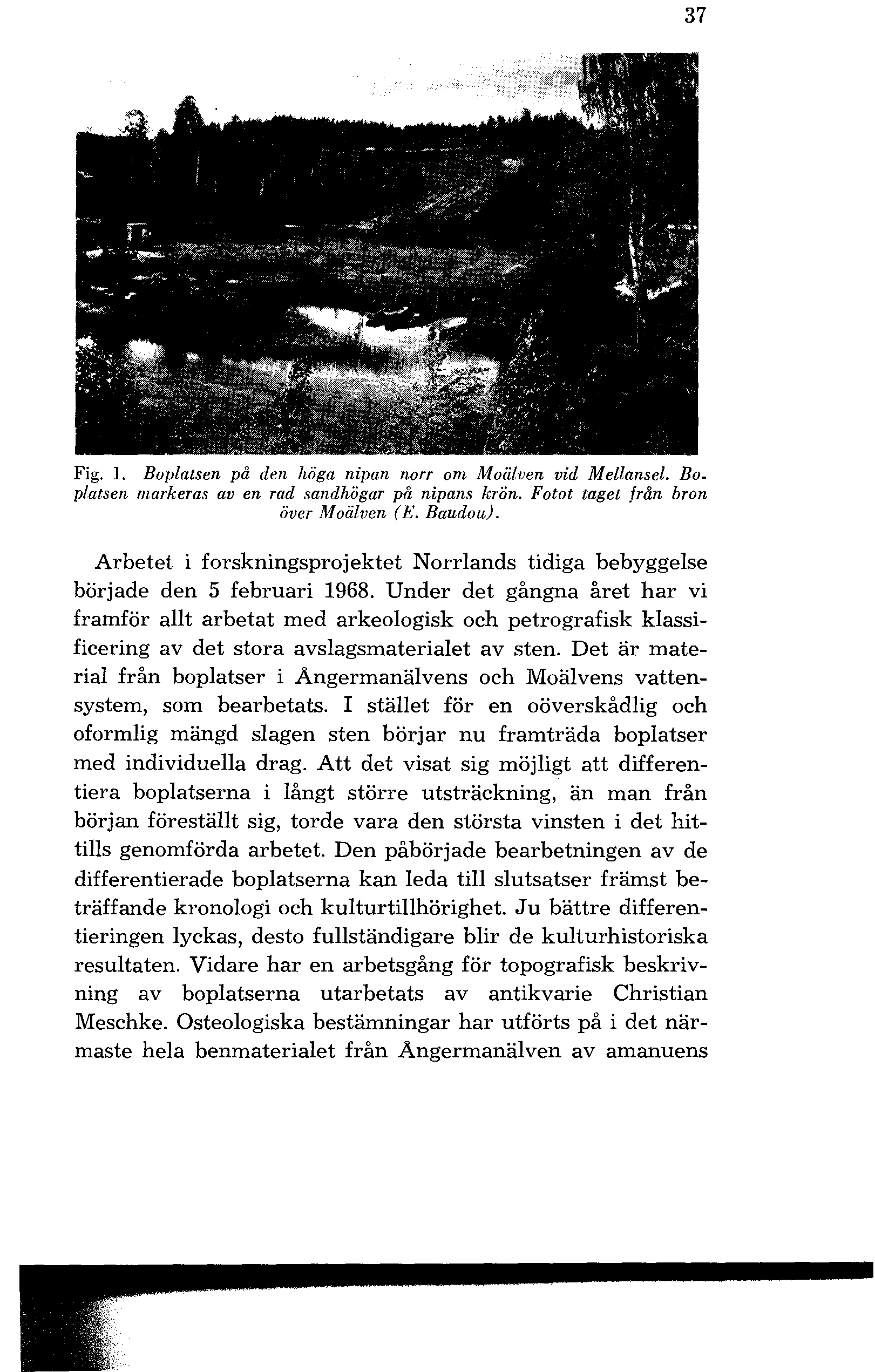 37 Fig. 1. Boplatsen på den höga nipan norr om Moälven vid Mellansel. Bo. platsen markeras aven rad sandhögar på nipans krön. Fotot taget från bron över Moälven (E. Baudou).