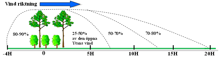 8 gamla), med erfarenhet av vinterbete.