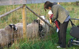 REKREATIONSOMRÅDE Ta gärna en promenad på vägar och stigar i det variationsrika området. Flera av vägarna är lätta att gå och framkomliga med rullstol eller barnvagn.