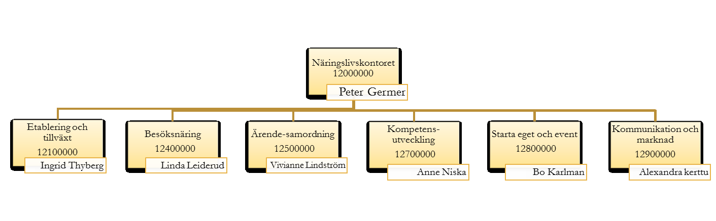 2 Kommunlednings-kontoret 10300000 Miljö- och folkhälsoberedningen