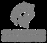 groups, academic institutions or civil society