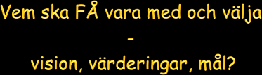 Alla måste vara med och ta fram visionen. Den får inte komma som påbud uppifrån. Först när man själv fått vara delaktig i att välja visionen bryr man sig om att sträva mot den.