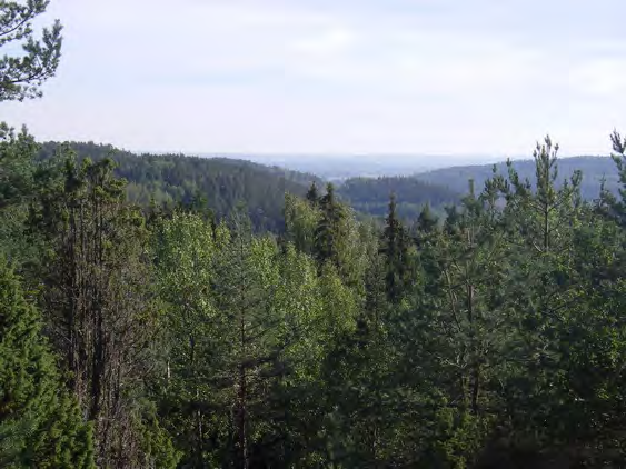 DVARDALA MED PJÄLTÅN Areal: 92 ha Produktiv skogsmark: ca 53 ha Natura 2000 habitat: 9010 Västlig taiga, 9180 ädellövskog i branter Fastighet: Dvardala 1:1, Röjningen 2:1, Kvillinge-Sätra S:1,