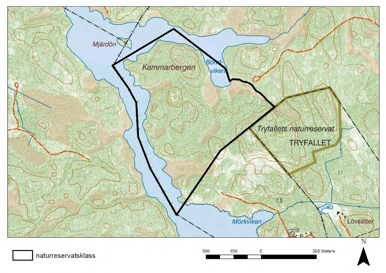 Området angränsar till Tryfallets naturreservat och ett antal små nyckelbiotoper samt naturvärdesobjekt finns i närheten. Området bedöms därför ha god funktionalitet med avseende på områdets artstock.