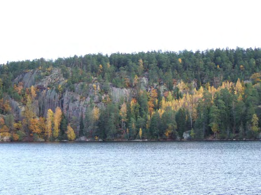 ÅGELSJÖN Areal: 329 ha Landareal: 195 ha Produktiv skogsmark: ca 154 ha Natura 2000 habitat: Västlig taiga (*9010) Boreonemoral ädellövskog (*9020) Näringsrik granskog (9050), Trädkädd betesmark