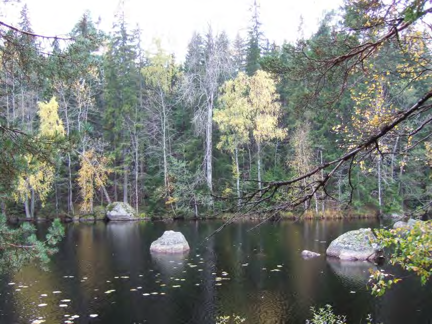 Areal: ca 118 ha Landareal: ca 79 ha Produktiv skogsmark: ca 69 ha Natura 2000 habitat: Västlig taiga (*9010) Fastighet: Luvebo 2:1, Norrköpings kommun ÖVRE GLOTTERN Områdesbeskrivning Övre