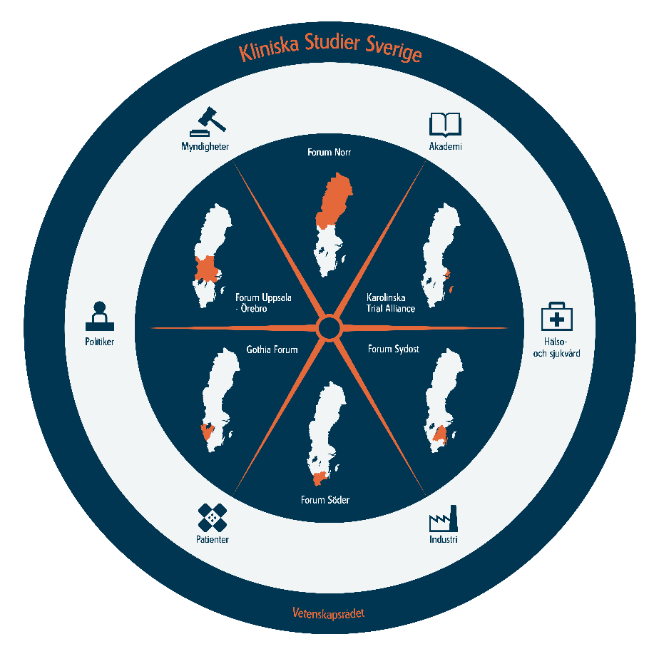 Kliniska Studier Sverige ett nationellt samarbete Kliniska Studier Sverige är ett nationellt samarbete mellan Vetenskapsrådet och Sveriges sex sjukvårdsregioner.