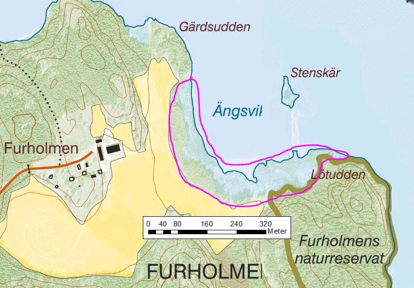 Furholmsnäsviken Koordinater (SWEREF 99): O 649325, N 6535070 Tullgarn södra Inventeringsår: 2014 Strandlinjen i Furholmsnäsviken sydost om Furholmsnäs ärigenvuxen med ett vassbälte.