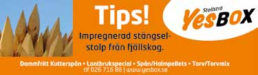 0,a cc ' BRUNNSÄTRA BIRK 0: *, AK Tot: 0 --.00,mbr.v.e Leik Kvik - : 0 0-0-0 : 0-0-0, Håenfröken e Greiskansen Goo Bj S /- /0 d U g cc 0 0' Uppf.