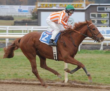 2 Stall Zuccini. 3 Triple E. 4 World Racing S L o Björling Claes. 5 Bonny Hallberg Konsult,Stall Lambada. Tränare 1 Fredrik Reuterskiöld, Jägersro. 2 R Kvisla. 3 E Olofsson. 4 C Björling. 5 Hi Larsen.