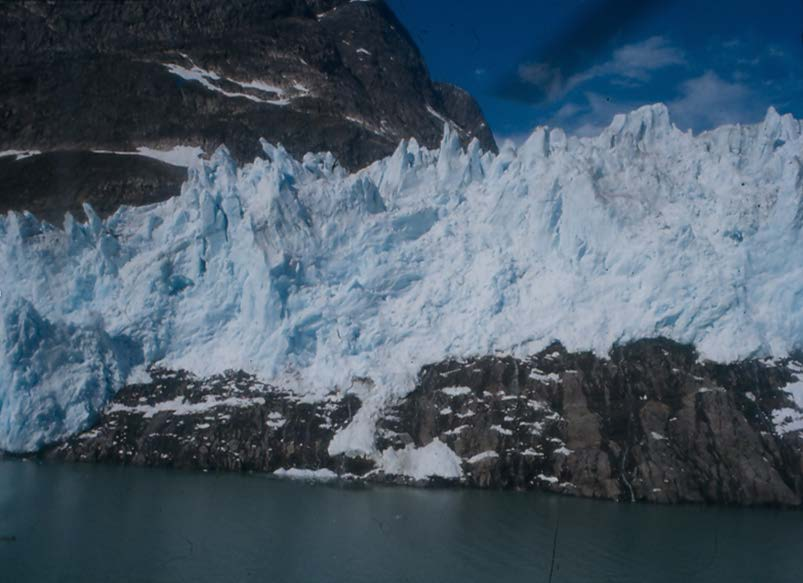 Kvarlevor från istiden, s k glacialrelikter.