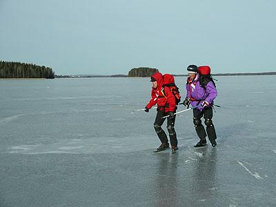 Motvindsåkning