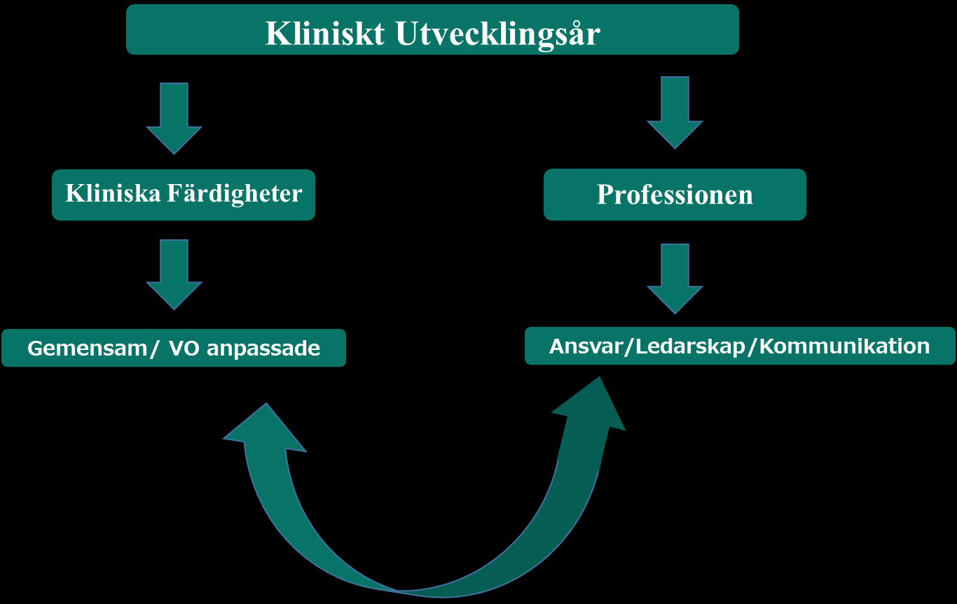 Avdelningens ansvar Avdelningen