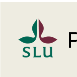 Vlldg Götl 21562 Eliset Ndeu Proteinfrktionerns nedrytning och pssge mikro protein A B1, B2, B3, C B2 B3 C C Proteinkvlitet i lusern och rödklöver 12 1 8 6 4 2 Skörd 1, 212 AD olösligt