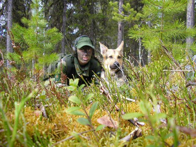 Soldat Upptäckt vid mörker: 18 soldater testades, nio med hjälpmedel och nio utan hjälpmedel.