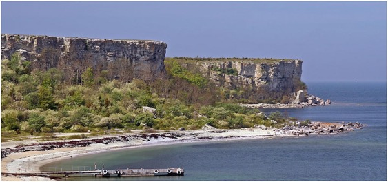 Stora Karlsö - ett av världens äldsta naturskyddsområden Stora Karlsö bjuder på en oförglömlig naturupplevelse med blommor och fåglar i ett annorlunda landskap.