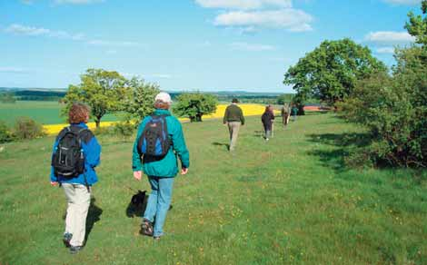 Pilgrimsvandring i sommar Lördagen den 4 juli - Romeleåsen Välkommen att vandra med oss denna sommarlördag. Vi startar i Genarps kyrka kl 10.