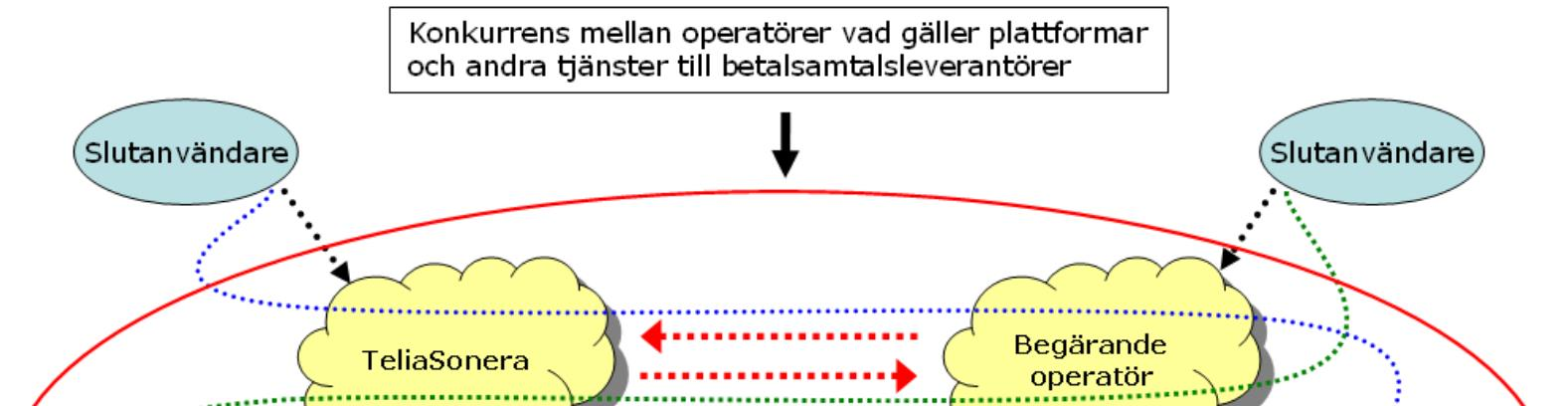 7.4.4 Direkt fakturering av betalsamtalsleverantören skulle bli för dyrt Ett betalsamtal genererar för varje betalsamtalsleverantör en förhållandevis liten intäkt för leverantören.